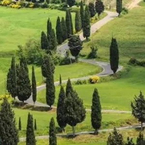 Panoramico Montepulciano Stazione